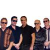 Corvettes DWR New Group No Text
